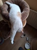 /album/26-02-2026/whatsapp-image-2026-02-26-at-17-53-53-jpeg/